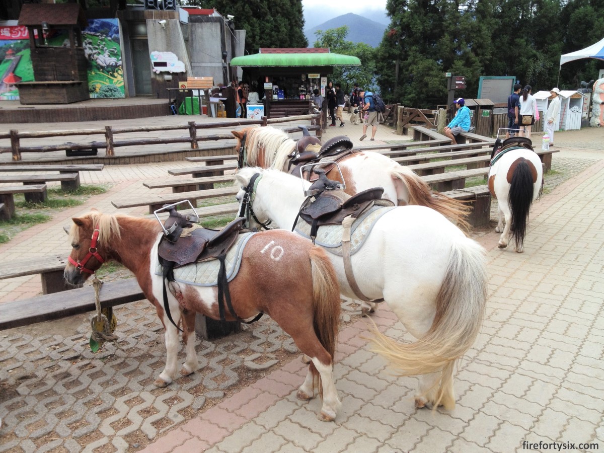 Three days in the mountains of Cingjing