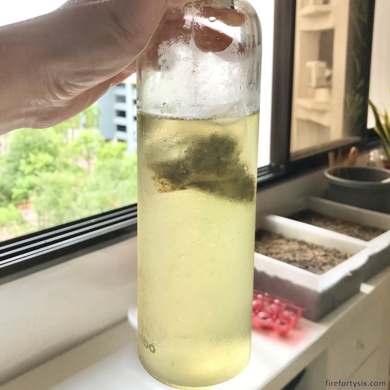 Yuzu sencha - Cold brew