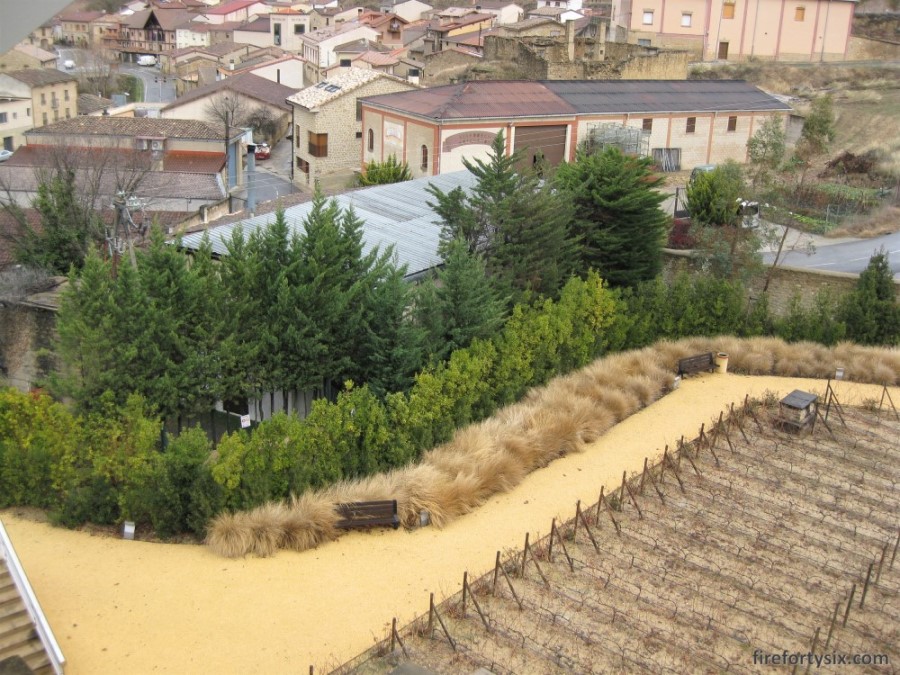 Elciego - Marques de Riscal - Vineyard 01