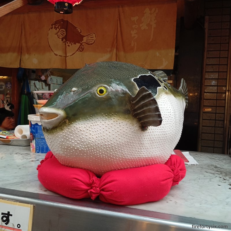 Kuromon Market - Fugu 01