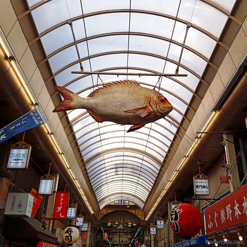 Kuromon Market - Giant Snapper