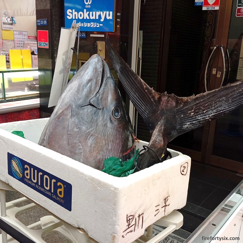 Kuromon Market - Tuna 01